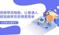 2023短视频带货陪跑,让普通人做短视频带货变得更简单(12节课)