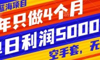 抖音蓝海项目,一年只做4个月,空手套,无货源,单日利润5000