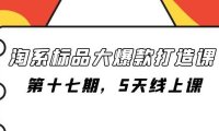 淘系标品大爆款打造课-第十七期，5天线上课