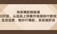 淘系爆款陪跑课 从选品上架操作链接到付费放大 全店运营 打爆款 系统做好店