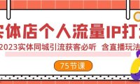 实体店个人流量IP打造 2023实体同城引流获客必听 含直播玩法(75节完整版)