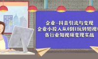 企业-抖音引流与变现:企业小投入从0到1玩转短视频 各行业知视频变现实战