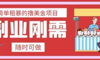 最简单粗暴的撸美金项目 会打字就能轻松赚美金