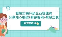 营销实操升级·企业管理课:分享核心框架 营销案例 营销工具(课程 文档)