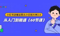 小红书店铺运营从小白到大神2.0,从入门到精通(60节课)