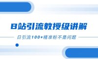 B站引流教授级讲解,细节满满,日引流100 精准粉不是问题