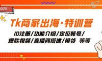 Tk商家出海·特训营:ID注册/功能介绍/定位账号/爆款视频/直播间搭建/带货