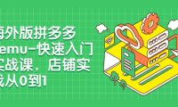 海外版拼多多Temu-快速入门实战课,店铺实战从0到1(12节课)