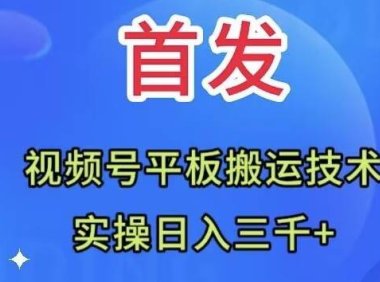 全网首发:视频号平板搬运技术,实操日入三千+