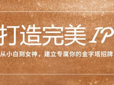 打造完美IP:从小白到女神,建立专属你的金字塔招牌(15节课)
