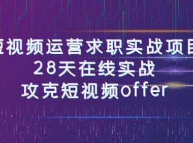 短视频运-营求职实战项目，28天在线实战，攻克短视频offer（46节课）