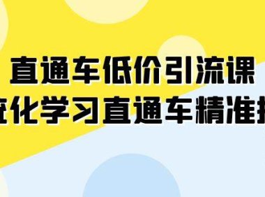 直通车-低价引流课，系统化学习直通车精准投放（14节课）