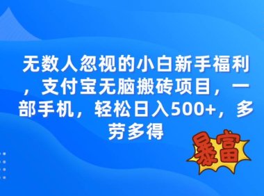 无数人忽视的项目,支付宝无脑搬砖项目,一部手机即可操作,轻松日入500