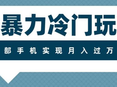 超暴力冷门玩法,可长期操作,一部手机实现月入过万