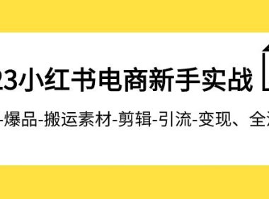 2023小红书电商新手实战课程,开店-爆品-搬运素材-剪辑-引流-变现、全流程