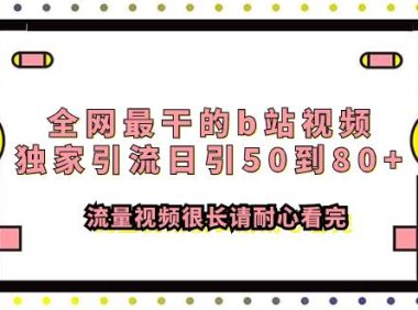 全网最干的b站视频独家引流日引50到80 流量视频很长请耐心看完