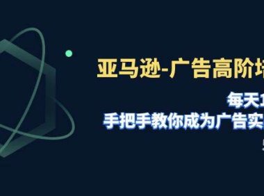 亚马逊-广告高阶培训班,每天10分钟,手把手教你成为广告实战高手(51节)