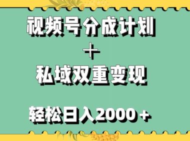 视频号分成计划+私域双重变现,轻松日入1000+,无任何门槛,小白轻松上手