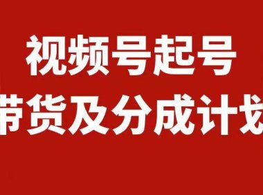 视频号快速起号,分成计划及带货,0-1起盘、运营、变现玩法,日入1000