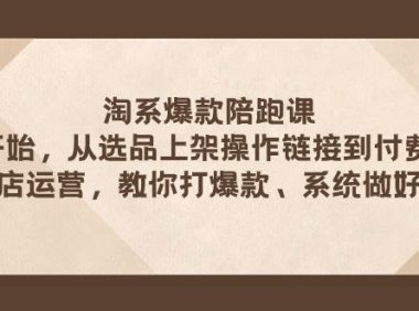 淘系爆款陪跑课 从选品上架操作链接到付费放大 全店运营 打爆款 系统做好店