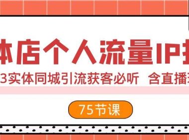 实体店个人流量IP打造 2023实体同城引流获客必听 含直播玩法(75节完整版)
