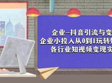 企业-抖音引流与变现:企业小投入从0到1玩转短视频 各行业知视频变现实战