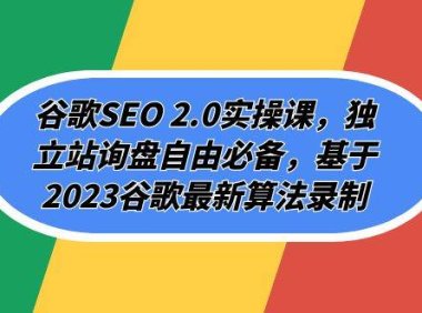 谷歌SEO 2.0实操课，独立站询盘自由必备，基于2023谷歌最新算法录制（94节