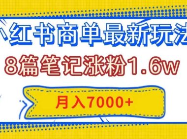 小红书商单最新玩法,8篇笔记涨粉1.6w,几分钟一个笔记,月入7000