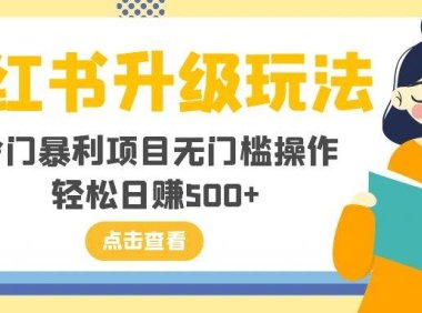 小红书升级玩法,冷门暴利项目无门槛操作,轻松日赚500