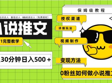 Ai小说推文每天20分钟日入500+授权渠道 引流变现 从0到1完整教学(7节课)