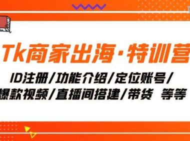 Tk商家出海·特训营:ID注册/功能介绍/定位账号/爆款视频/直播间搭建/带货