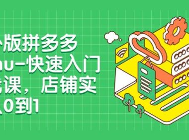 海外版拼多多Temu-快速入门实战课,店铺实战从0到1(12节课)