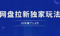 网盘拉新_实战系列，入门级教程，小白单月破万（v2.0版教程）