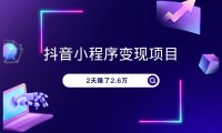 抖音小程序推广项目,2天赚了2.6万,太猛了!