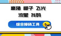 综合接码小工具豪猪、椰子、飞光、流星、抖码