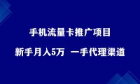 手机流量卡推广项目,新手月入5万+,附一手代理渠道。
