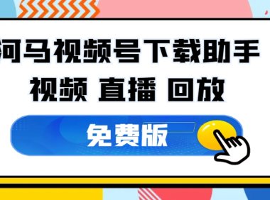 河马视频号下载助手v1.3,一款视频号的解析下载工具!
