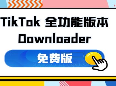 抖音采集/下载工具 TikTokDownloader 5.2 全能版