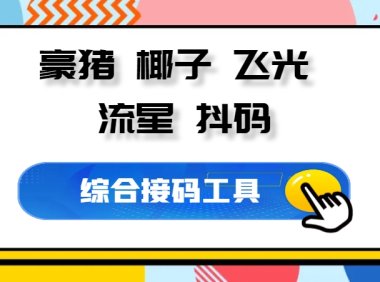 综合接码小工具豪猪、椰子、飞光、流星、抖码