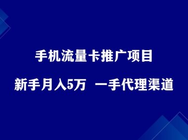 手机流量卡推广项目,新手月入5万+,附一手代理渠道。