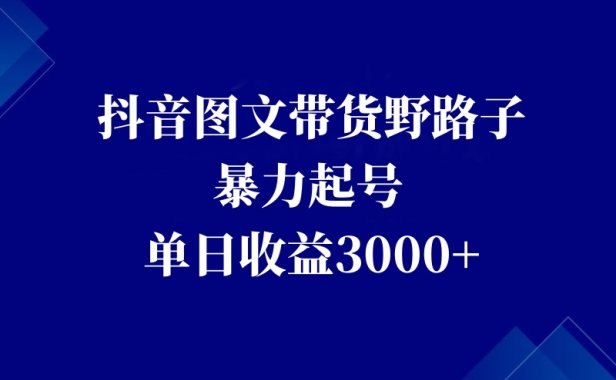 抖音图文带货野路子,暴力起号,单日收益3000+!这个方法能够让你轻松赚取佣金!!