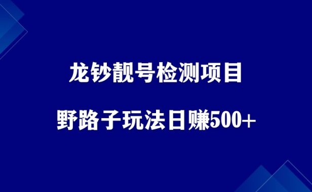 龙钞靓号检测,最新野路子玩法, 每天躺赚500+