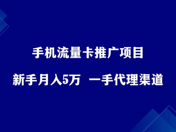 手机流量卡推广项目，新手月入5万+，附一手代理渠道。