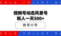 拆解一个视频号动态风景视频玩法,制作简单,流量爆炸!