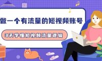 做一个 有流量的短视频账号，3天学懂短视频流量逻辑（10节课）