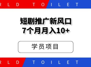 短剧推广小说推文新风口，干了7个月，月入10万+
