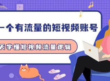 做一个 有流量的短视频账号，3天学懂短视频流量逻辑（10节课）