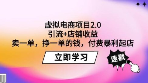 虚拟电商项目2.0：引流+店铺收益  卖一单，挣一单的钱，付费暴利起店