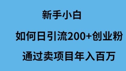 新手小白如何日引流200+创业粉通过卖项目年入百万