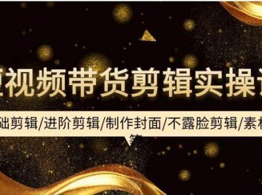 短视频带货剪辑实操课:基础剪辑/进阶剪辑/制作封面/不露脸剪辑/素材/等等